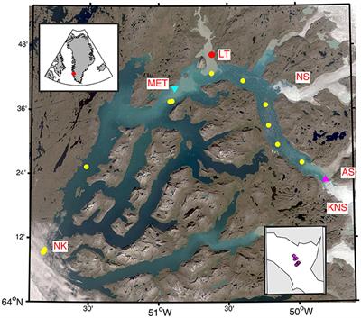 Bergy Bit and Melt Water Trajectories in Godthåbsfjord (SW Greenland) Observed by the Expendable Ice Tracker